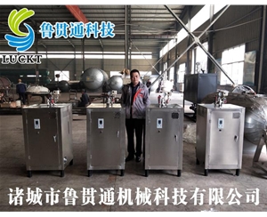 電蒸汽鍋爐 各種型號現貨供應，型號不同，功率不同，可適用于多種行業，歡迎來單咨詢